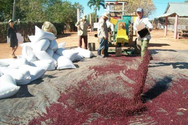 782a2d5b3d8905343d0e913ebd5f98c2 L