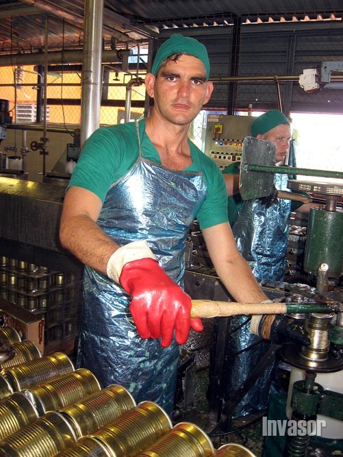 inter ceballos minindustria