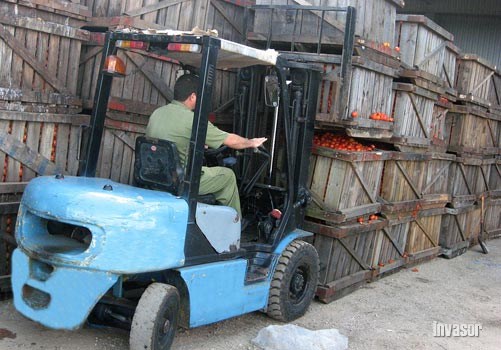 inter ceballos tomate