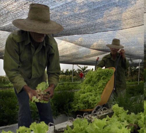 Amplia información sobre el sector agroalimentario