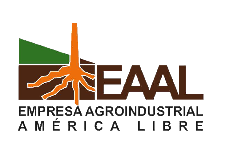 LogoAmericalibre