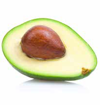 02AguacateA