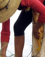 inter-mujer-recogida-papa-agricultura