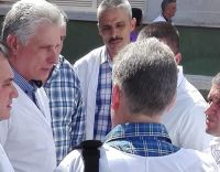 44436088_308353949757121_7981793121539194880_n