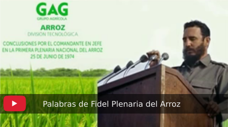 Palabras de Fidel Plenaria del Arroz