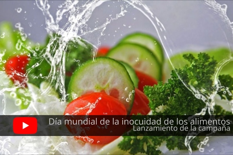 Día mundial de la inocuidad de los alimentos