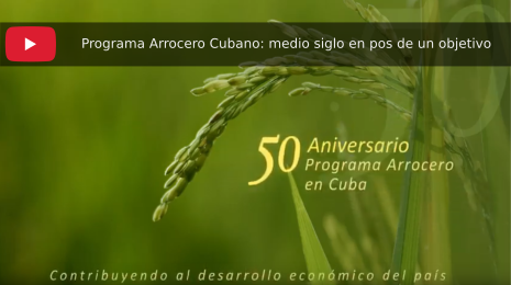 Programa Arrocero Cubano: medio siglo en pos de un objetivo